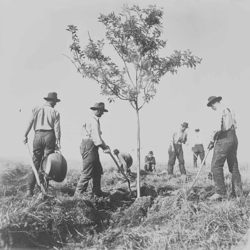 Planting trees in Nebraska